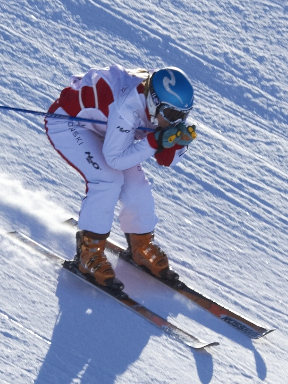 <h2>SKI Cross</h2>
<p>Training run Alpe d Huez</p>